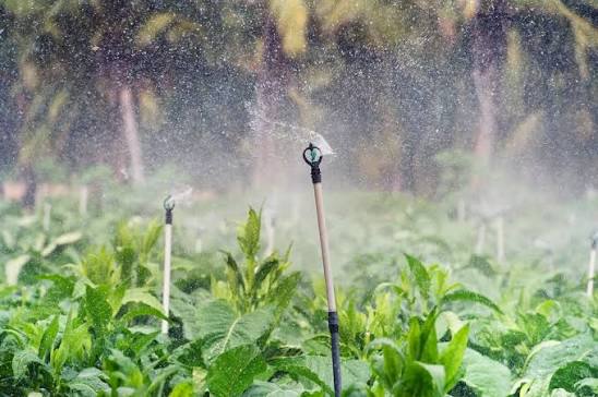 Water Management